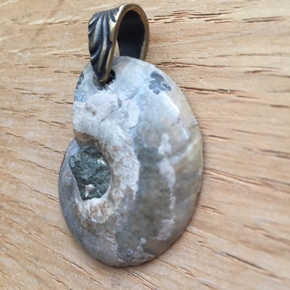 Ammonite Fossil Pendant with Brass Bail NWOT - Picture 12 of 14